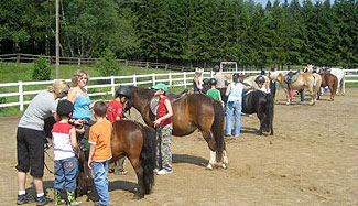 bild reiten1 2 v3