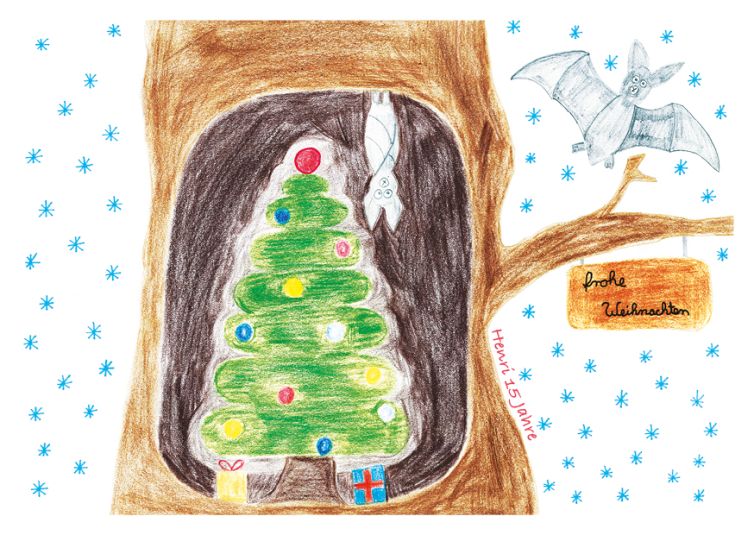 FoeVe Weihnachten 2024 Henri 15 neu 5554f62b
